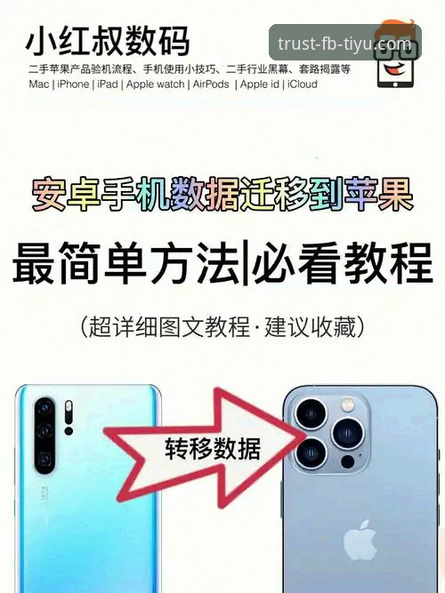 FB体育版本更新实用指南：从数据平台下载到安卓安装全流程解析
